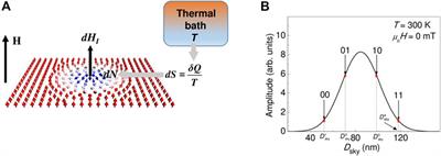 From Thermodynamics to Information: Landauer’s Limit and Negentropy Principle Applied to Magnetic Skyrmions